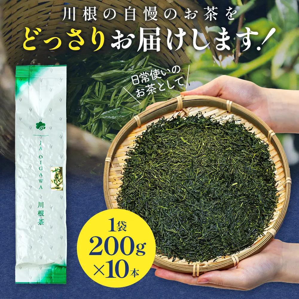 32-6 川根茶 どっさり ご家庭用飲み茶2kg セット やまびこ 200ｇ袋×10本