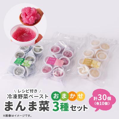 ふるさと納税 尾張旭市 まんま菜　冷凍野菜ペーストおまかせ3種セット