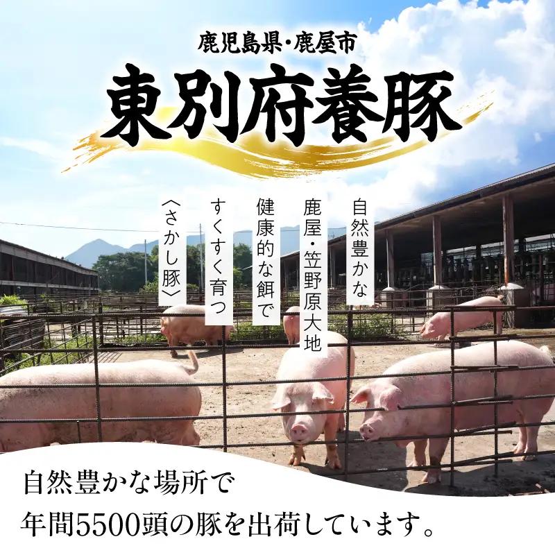 【 訳あり 】2506 鹿屋産 豚 BBQ セット 計2.45kg KN079-014 肉 豚肉 冷凍