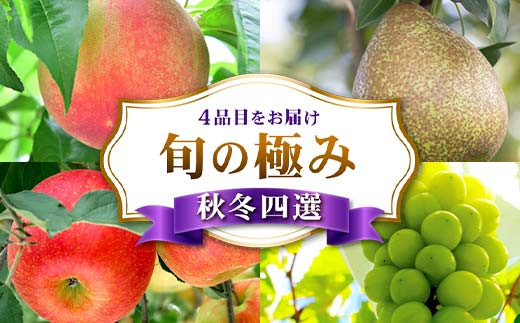 
            旬の極み 秋冬四選 FSY-2232
          