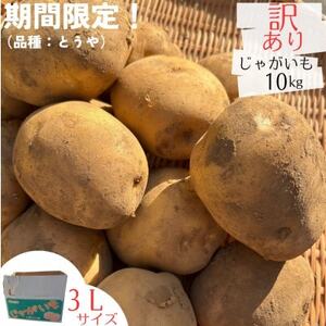産地直送!訳ありお芋屋さんのBigじゃがいも(品種:とうや)10kg【1645283】