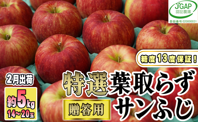 
[№5554-0133]2月発送【糖度保証】贈答用 葉取らず サンふじ 約5kg 【特選】【鶴翔りんごGAP部会 青森県産 津軽産 リンゴ 林檎】
