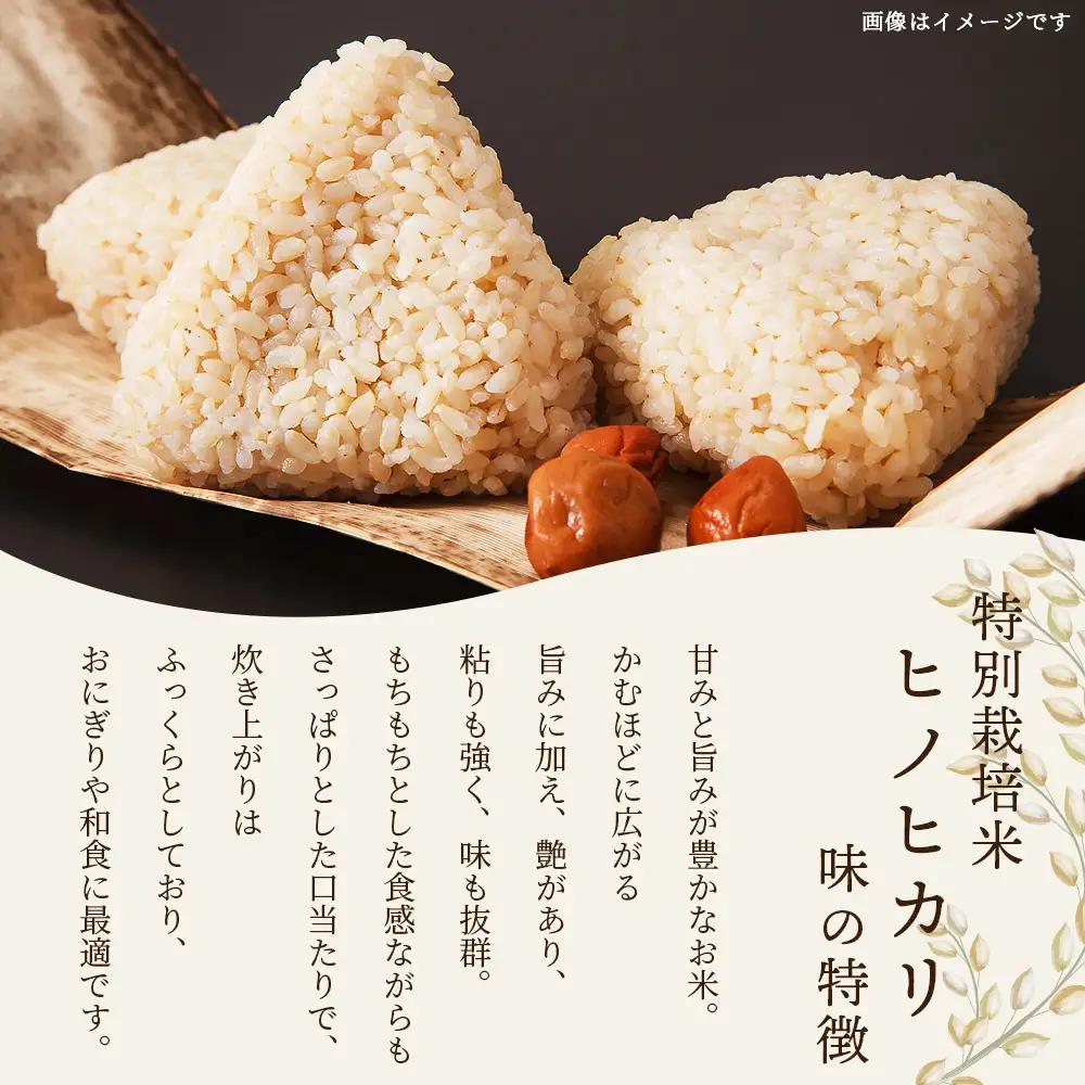 【令和8年産 新米予約】特別栽培米「ヒノヒカリ 玄米」20kg 114-0604