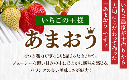 【2月以降順次発送】いちご あまおう 約270g×4パック 那珂川市 いちご フルーツ くだもの 果物 あまおう 九州産 苺 国産 10000 10000円 [GBR001]