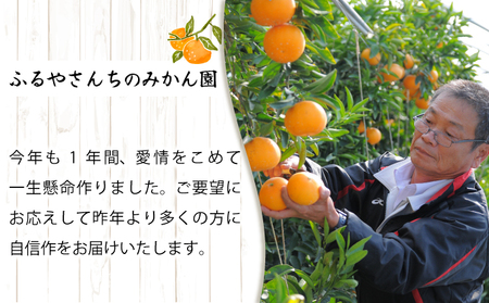 AD-AB1 ＜訳あり＞農林水産大臣賞受賞農園！ふるやさんちの温室せとか(約5kg・20～24玉※サイズ混合)【ふるやさんちのみかん園】