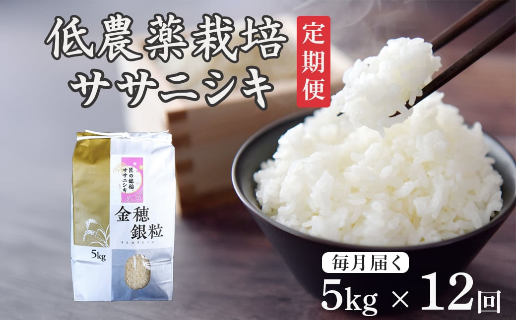 
            ＜新米先行予約＞【毎月定期12回】令和7年産 新米 低農薬栽培 ササニシキ 5kg【精米】
          