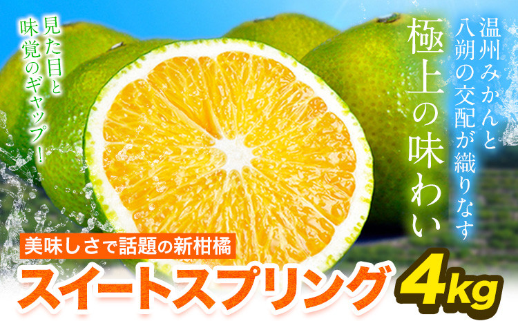 
                  スイートスプリング 4kg 熊本県産 送料無料 旬 の みかん 熊本産 取り寄せ (3L～Sサイズ/3L-S混合) 《12月下旬～1月下旬出荷》熊本県 津奈木町 柑橘 希少品種 スイートスプリング 柑橘 果物 スイスプ 旬 の みかん 柑橘 温州みかん
                
