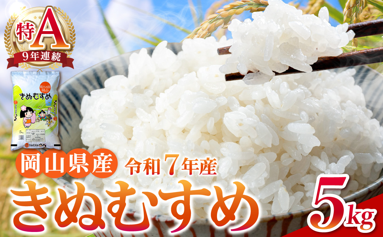【令和7年産米】岡山県産 精米 きぬむすめ　5kg【米  配送 令和7年産 米 精米 ごはん 白米 国産米】