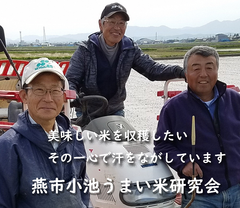 
            【令和7年産】おかずのいらないコシヒカリ「つばめ返し」白米10kg FC028025
          