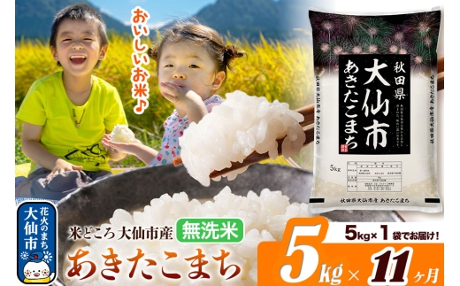 米《定期便11ヶ月》あきたこまち【無洗米】米どころ秋田県大仙市産 あきたこまち5kg（5kg×1袋） [米 お米 こめ 無洗米 精米 あきたこまち ブランド米 通算18回 特A 小分け ご飯 ごはん 米どころ 秋田県産 大仙市]