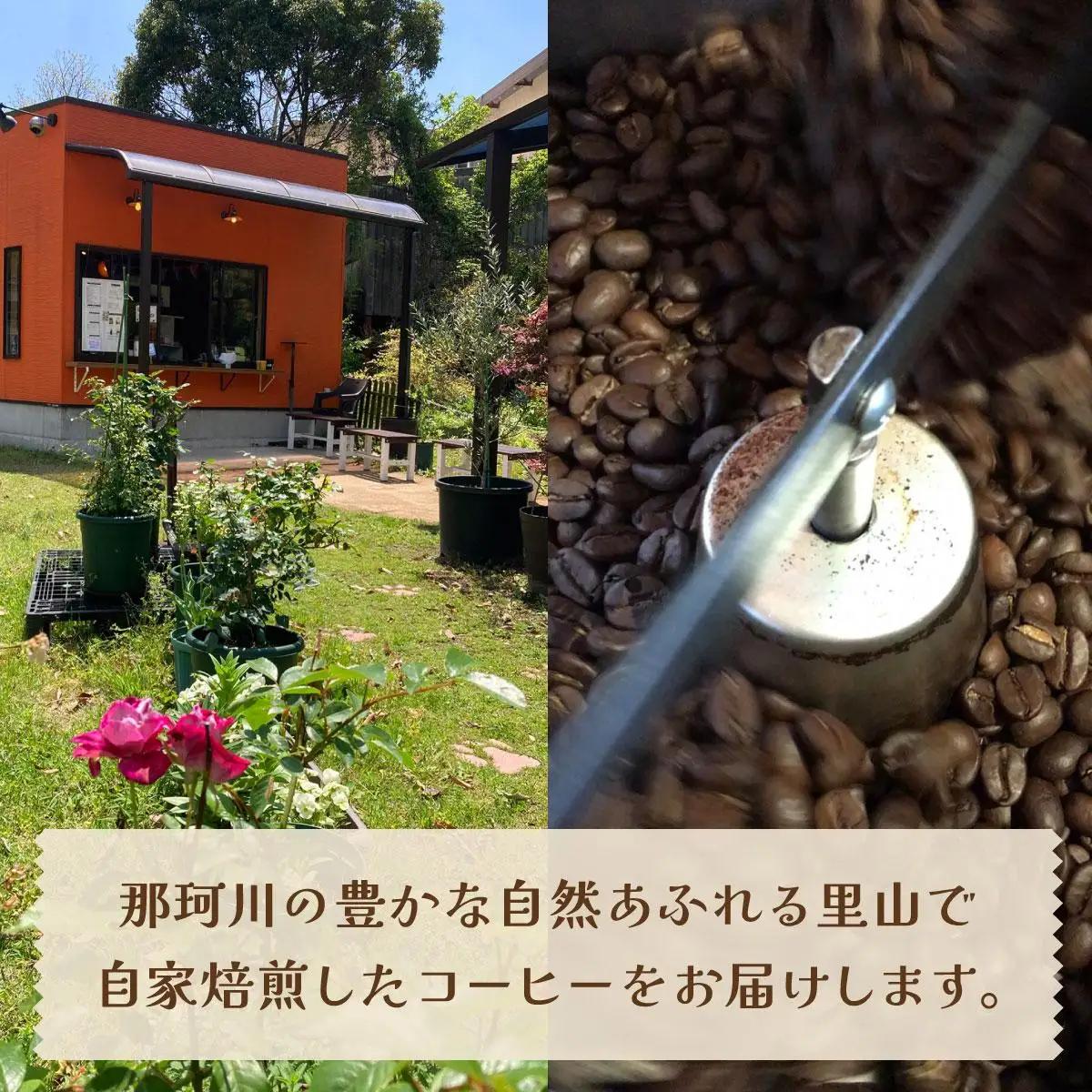 ＜定期便・全6回＞申込後に自家焙煎！魅惑のスペシャルティ コーヒー 4種セット【豆】1kg
