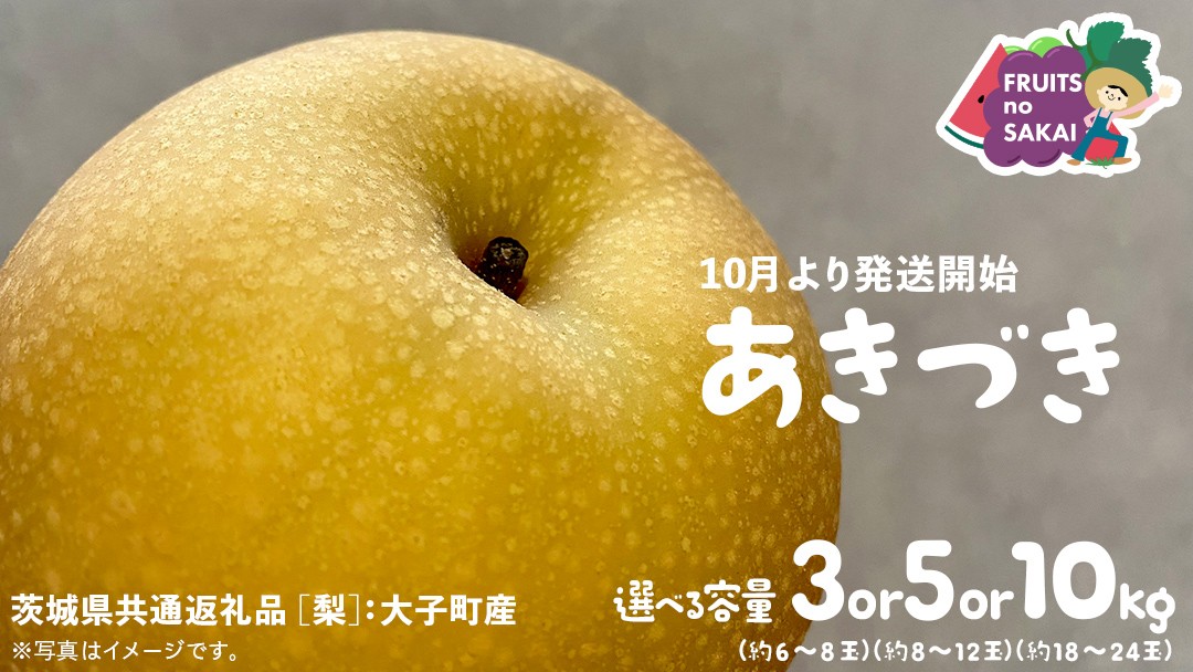 
            ＼ 選べる内容量 ／ あきづき 梨 3kg （6～8玉）/ 5kg（8～12玉）/ 10kg （18～24玉）【2025年10月より発送開始】（茨城県共通返礼品 [梨]：大子町産） なし 旬 お取り寄せ フルーツ 甘い ジューシー 和梨 時期 秋月
          
