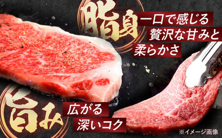 【全6回定期便】 長崎和牛 A5ランク 特選サーロインステーキ 250g×4枚 計1kg / ステーキ すてーき 和牛 牛肉 ぎゅうにく 国産牛 牛 サーロイン A5 / 諫早市 / 焼き肉おがわ [