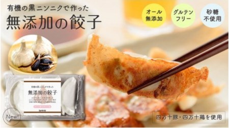 黒 ニンニク と 四万十 豚 で作った  餃子（ 8パック 8人前 ）餃子 餃子 餃子 餃子 餃子 餃子 餃子