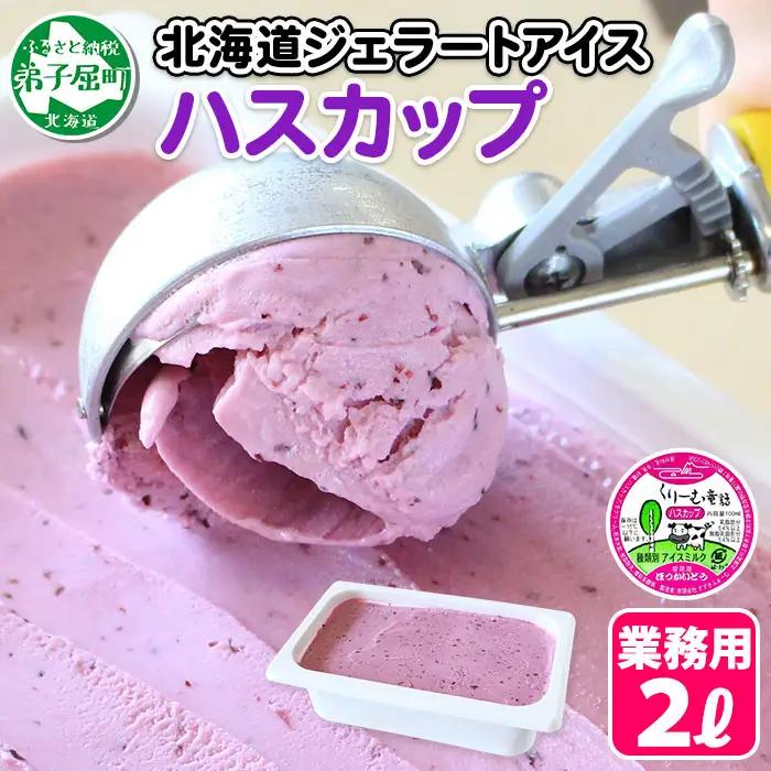 アイスクリーム ハスカップ ジェラート 業務用 2リットル 2L アイス 大容量 手作り 北海道 弟子屈町 607