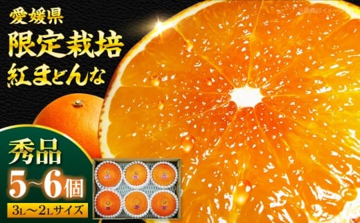 紅まどんな 秀品 5から6個入（JA愛媛たいき管内産）【先行予約】【11月下旬から順次発送】愛媛県大洲市/株式会社フジ・アグリフーズ[AGBA003] 先行予約 みかん ミカン 蜜柑 紅マドンナ 紅まどんな 果物 くだもの フルーツ 愛媛県産 大洲市産 産地直送 おすすめ 人気 お取り寄せ 送料無料 贈答 ギフト