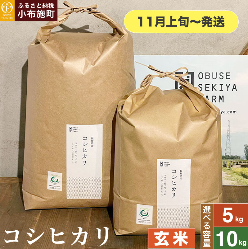 【ふるさと納税】 コシヒカリ 玄米 約5kg 約10kg 選べる容量［おぶせファーマーズ］ お米 米 おこめ こしひかり 長野県産【2025年11月上旬～発送】
