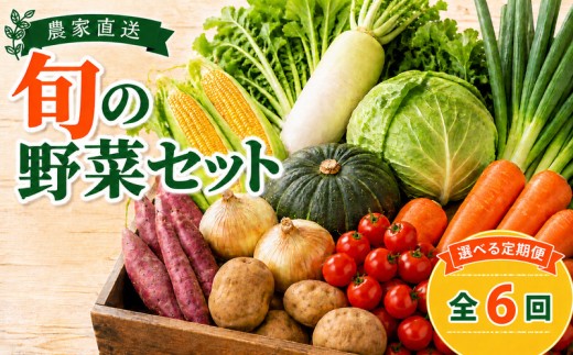 野菜 定期便 野菜セット サブスク 旬 詰め合わせ やさい 全6回 隔月 先行予約 定期 野菜詰め合わせ おまかせ セット ていきびん 銚子 新鮮野菜 農家直送 産直 産地直送 トウモロコシ サツマイモ ミニトマト タマネギ キャベツ ジャガイモ カボチャ ネギ yasai 春野菜 夏野菜 秋野菜 冬野菜 人気 ふるさと納税 千葉県 銚子市 送料無料 サンズファーム 【2026年11月以降発送】