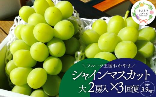 
                  岡山のシャインマスカットを楽しむ満足３回便！特大２房×3回/全便計3.9kg～ (定期便)(岡山県産)【KF-T045-02】
                