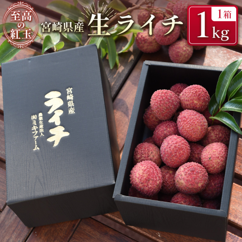 宮崎県産 生ライチ「至高の紅玉」計1kg ≪2026年6月下旬～発送≫ 人気 国産 希少 果物 旬 ギフト プレゼント【C365-26】