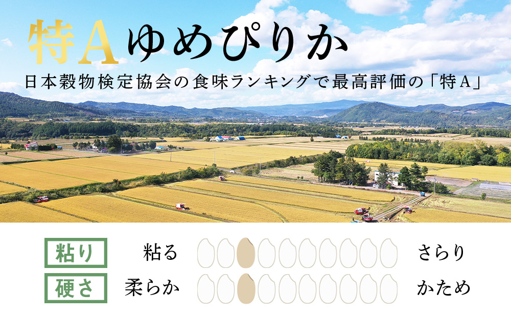 《新米予約》【定期便3回・上旬発送】北海道産ゆめぴりか 5kg（通常パック5kg×1袋）