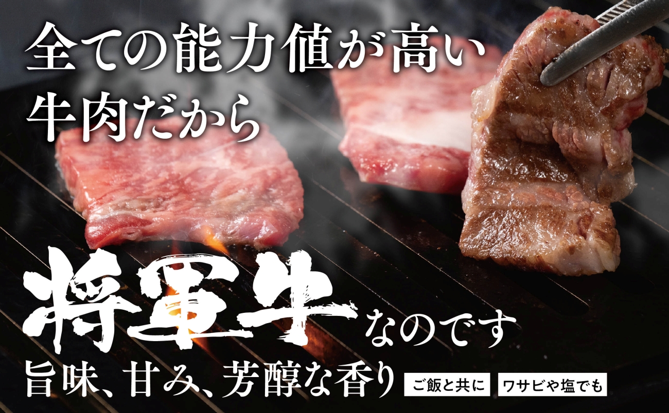 【将軍牛】特選焼肉セット ロース カルビ もも 3種類 1kg【配送不可地域：離島・北海道・沖縄県】【1652120】