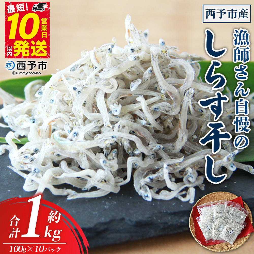 ＜漁師さん自慢のしらす干し 1kg(100g×10パック)＞ シラス 魚介 さかな 海産物 海鮮 海の幸 小分け 国産 ご飯のお供 丼 おつまみ 晩酌 おかず おやつ 特産品 濱田水産 愛媛県 西予市 【冷凍】『最短10営業日以内に順次発送予定』