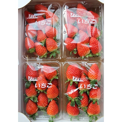 3月発送【季節限定】新鮮朝採れ!安芸太田町産いちご「かおり野」 (280g×4パック)【配送不可地域：離島・北海道・沖縄県】