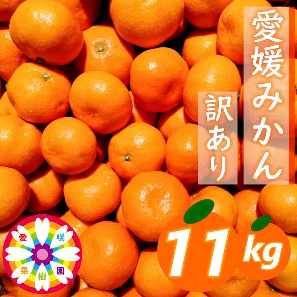 
                  「 愛媛 みかん 」 訳あり 約11kg《 愛咲果樹園 》＜D71-7＞【1331485】 YWTS007
                