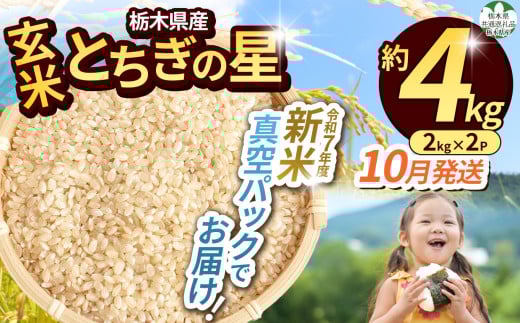 【先行予約】【令和7年度新米】【毎月500個限定！】【栃木県共通返礼品】 栃木県産とちぎの星 2kg×2（玄米真空パック）10月分 | 新米 とちぎの星 玄米 米 ごはん  冷めてもおいしい ふるさと納税 那珂川町 栃木県