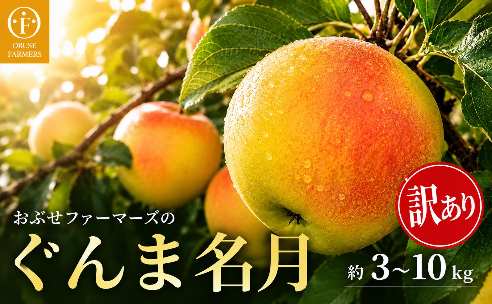 
                  先行受付 ぐんま名月 訳あり 家庭用 約3kg 約5kg 約10kg 選べる内容量［おぶせファーマーズ］ | りんご 林檎 リンゴ フルーツ 果物 くだもの 長野県産 小布施 産地直送 常温配送 2026年発送 令和8年産 【2026年11月上旬～12月下旬発送予定】［FH-55-sku］
                
