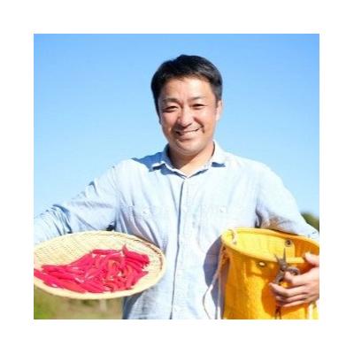 ふるさと納税 熊野市 【テレビで紹介されました】一味唐辛子　黄とうがらし |  | 02