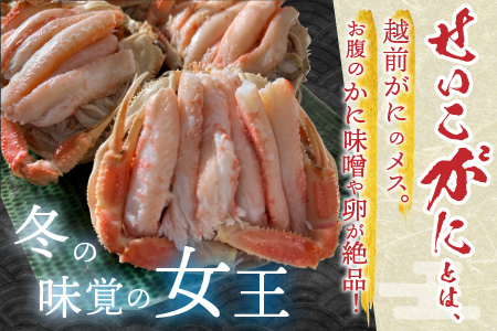 【先行予約】 越前がにのメス (せいこがに) 甲羅盛り 3杯 (1杯 約60～80g) 合計約200g以上 【2025年8月上旬以降順次発送予定】 【かに むき身 せいこがに セイコカニ セコガニ ボ