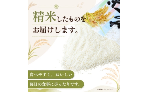 令和8年産 新米 お米屋さんのコシヒカリ 精米 10kg(5kg×2)【1787839】