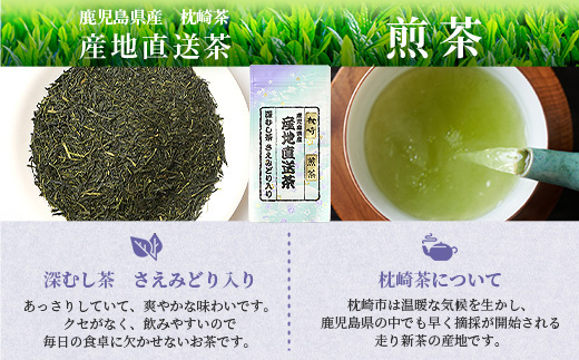 大河内製茶の煎茶飲み比べ 5点セット 特上煎茶・上煎茶・煎茶・水出し緑茶ティーバッグ A8−71【1167086】