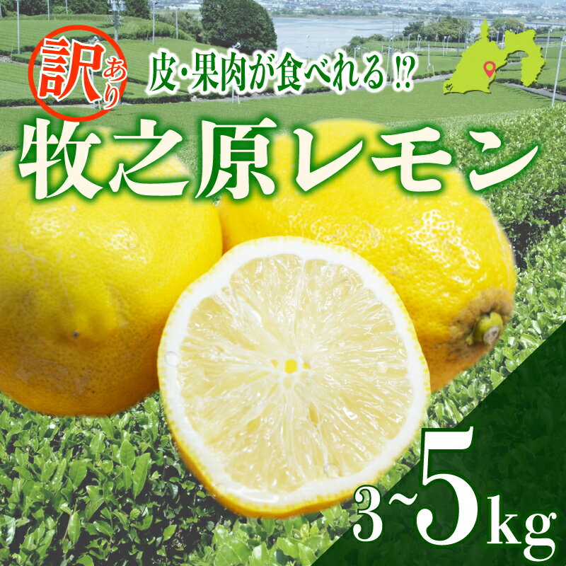【ふるさと納税】 選べる容量 訳ありレモン 3~5kg わけあり れもん 檸檬 Lemon 柑橘類 柑橘 フルーツ 果物 酸っぱい 果肉 酸味 甘み 璃の香 防腐剤不使用 牧之原レモン 静岡県 牧之原市 果肉食べられる 自宅用 贈答品 くだもの 家庭用 静岡県産おすすめ 美味しい りのか