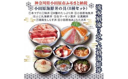 
【高級食材本マグロ、曽我の梅干し、小田原地あじ、小田原港直送地魚丼、大磯港直送、湘南生しらす】小田原海鮮丼の具（8種セット）【本まぐろ丼 小田原地魚丼 小田原地あじたたき丼 国産活〆真鯛入り酒仕込み 神奈川県 小田原市 】
