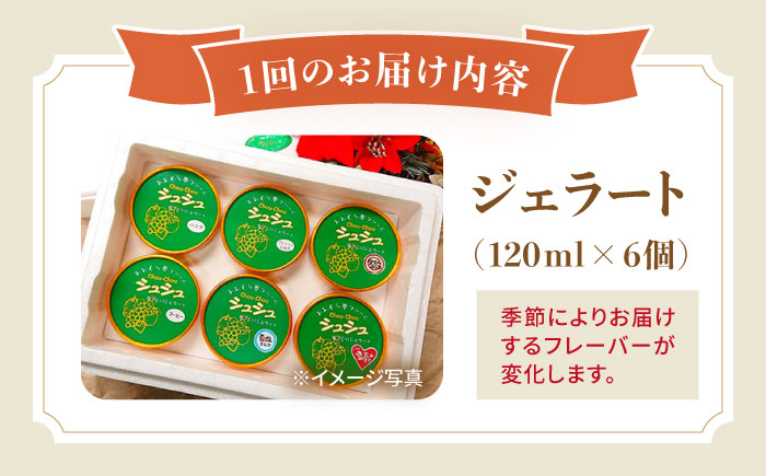 【12回定期便】シュシュのスペシャルジェラート6個セット（定番/季節限定/スペシャル2種） / アイス あいす アイスクリーム あいすくりーむ ジェラート じぇらーと スイーツ すいーつ / 大村市 