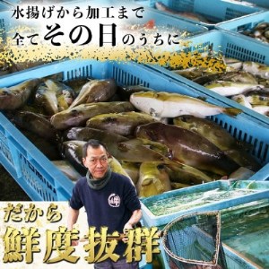 岬だよりの【唐揚げ・干物付き】天然白さばふぐ3点セット【配送不可地域：離島】【1377227】