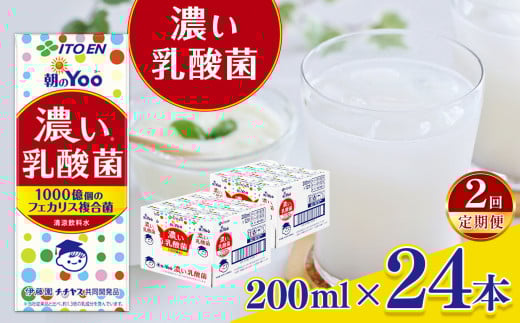 【定期便2回】朝のＹｏｏ濃い乳酸菌２００ml×２４本 伊藤園   | 乳酸菌 ジュース ドリンク 飲料 健康 食品 長期常温可能 1ケース 長野県 松本市 ふるさと納税