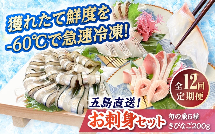 
            【全12回定期便】超速冷凍鮮魚6種（5種+きびなご） 五島市/金沢鮮魚 魚 キビナゴ 鮮魚 鮮魚ボックス [PEP067]
          