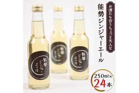 《お酒にも合うちょっと大人な》 能勢ジンジャーエール 250ml × 24本