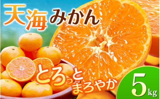 【先行予約】天海みかん 5kg ≪2026年11月より発送≫ 海藻肥料で育った 完熟 早生 みかん ミカン 蜜柑 柑橘 温州みかん フルーツ 果物 くだもの 産地直送 甘い 濃厚 5キロ 期間限定 人気 和歌山県 田辺市 【nak006-1】