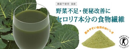 DHC ケール青汁+食物繊維 特定保健用食品 10日分