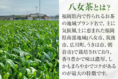 お試し企画【八女茶】原田茶園 極上煎茶 麗至 12g（茶葉タイプ） お試し 八女 極上 煎茶 福岡 茶葉 お茶