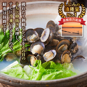 漁師直送！宍道湖産ヤマトシジミ・希少なLLサイズ・冷凍 2kg）| しじみ