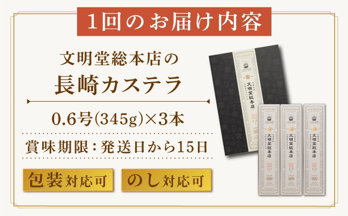 カステラ 長崎 贈答 ギフト 詰め合わせ 人気 和菓子 送料無料 常温 かすてら ざらめ ザラメ 文明堂 個包装 定期 定期便
