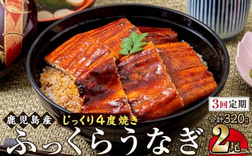 
            【3回定期】うなぎ 蒲焼 160g×2尾【鹿児島産】地下水で育てた絶品鰻
          