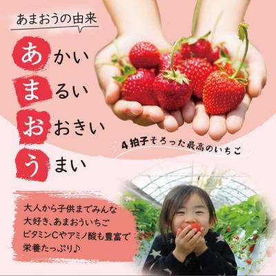 ふるさと納税 糸島市 【全2回定期便】【先行受付】あまおう いちご 1,080g (約270g×4P)[AZL005] |  | 02