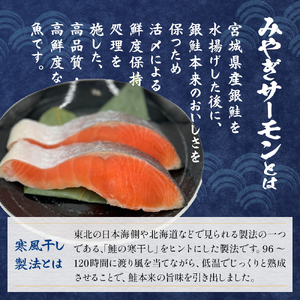 鮭 切り身 みやぎ サーモン 寒風干し 800g×1 宮城県産銀鮭 銀鮭 切身 冷凍 国産